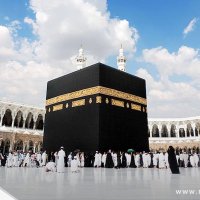 حجز عربات قولف + تصاريح الروضه الشريفه. . (@mm78897073) 's Twitter Profile