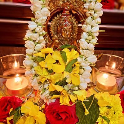 Raji99454878's profile picture. 