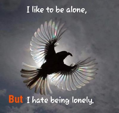 Tos2012y's profile picture. 