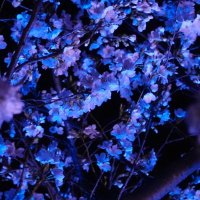 Depthmer (@depthmer) 's Twitter Profile