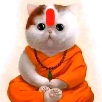 pavanrk15's profile picture. 