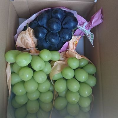 izupinatiti's profile picture. 長野市民

#信州ブレイブウォリアーズ
#AC長野パルセイロ