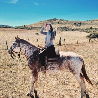 tmtannn's profile picture. 🐶 👩🏻‍💻✈️🌍