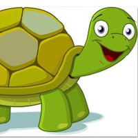 CryptoTurtle CTKS Ambassador (@_crypto_turtle_) 's Twitter Profile