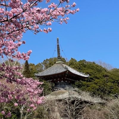 四国霊場第八番、熊谷寺の公式アカウントです。霊場や当院の行事、四季折々の花の見頃などを発信いたします。