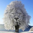 Benjamin Bader - @bbenji300 - Twitter