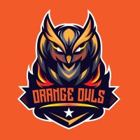 Orange Owls eSports 🦉🧡 (@orangeowls) 's Twitter Profile