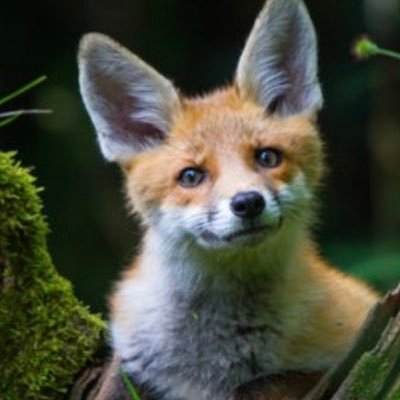 micha_aiaiai's profile picture. 