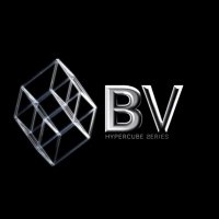 BV NFT (@bv__nft) 's Twitter Profile