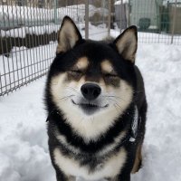 Whiteink Qi (@3kbtt3pryktwcuf) Twitter profile photo