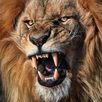 Marcin (@marcinw08) 's Twitter Profile