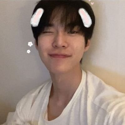 doie_dream's profile picture. ᰔᩚ ɪꜱꜰᴊ ꪔ̤̥