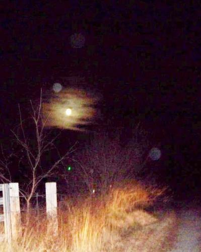 orbsandghosts's profile picture. ...and creepy things that go bump in the night