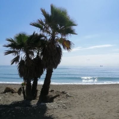 Katheri12810153's profile picture. Life