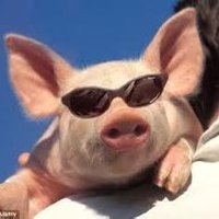 Pork Kebab (@00711711711even) 's Twitter Profile