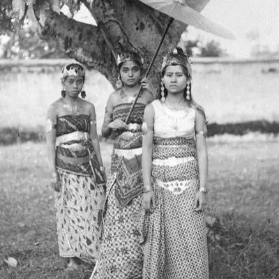 annishava's profile picture. student / professional sleeper / full time cat mom.