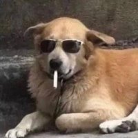 🦇 CⱯMILO 🦇 (@estevalencia) 's Twitter Profile Photo 🦇 CⱯMILO 🦇 (@estevalencia) 's Twitter Profile Photo