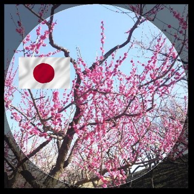 超タカ派でナショナリストだが国粋主義者じゃないよ。 中国の脅威を強烈に感じているただの庶民。 自由と人権、思想と信条の自由が保障された社会で暮らしたい。 そして国家主権を否定する「憲法九条」の無効を主張する🇯🇵
核兵器を有する大国による「力による現状の変更」に抗議する😃
自らと祖国の尊厳と自由を守りたい🎌