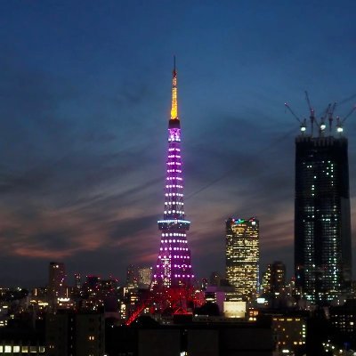 livetokyosky's profile picture. 