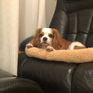 yuki____915's profile picture. TUT MS22(留学してたので23になります！)/DMもリプも大歓迎!是非気軽に声掛けてください!!/無言フォロー失礼します🙇‍♀️