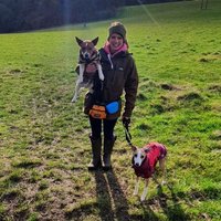 Chloe Timberlake (@chloeandwilf) 's Twitter Profile