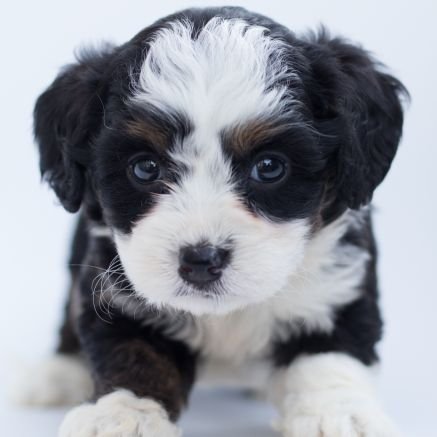 KyungPa36469091's profile picture. 