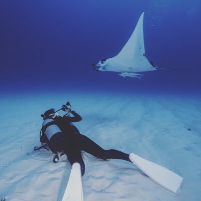 s_zumi_0116's profile picture. 無言フォロー🙆🏿‍♀️沖縄大好き✈️🐳ダイビング好き💕マンタlove🦋（海の推し） 昭和と平成の狭間世代🤫 timeleszは勝利🕰️❤️💜💚SixTONESはこーち寄りのみんな好き💎💛SnowManは阿部ちゃん寄りのみんな好き⛄️💚