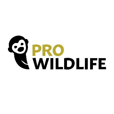 Pro Wildlife is an independent charity, dedicated to the conservation of wildlife and their habitat. #WeLoveWildlife