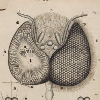 NWO_MicroLabs (@nwo_microlabs) 's Twitter Profile