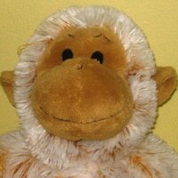 Chuck ʎǝʞuoW(@chuckmonkey2010) 's Twitter Profile Photo