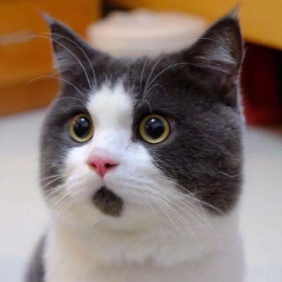 theray0719's profile picture. 