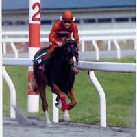 椎本 英男(Hideo Shiimoto) (@hideo_almond9) 's Twitter Profile Photo 椎本 英男(Hideo Shiimoto) (@hideo_almond9) 's Twitter Profile Photo