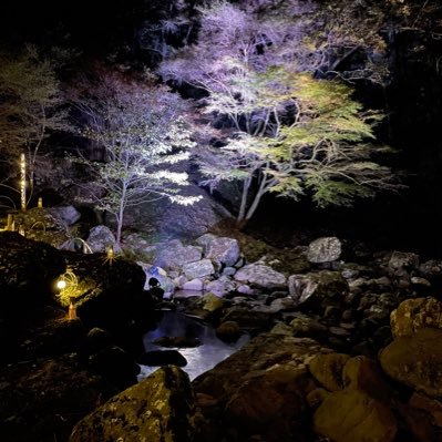 Kazu67785790's profile picture. 