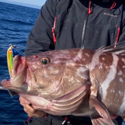 釣りと車が好きです！タダの釣り人😊ショア〜オフショア色々やります😃 皆さんよろしくお願いします😁