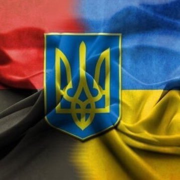 vovavolod56's profile picture. 