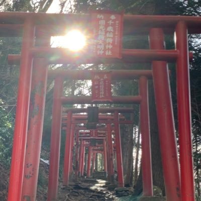 33さんのプロフィール画像