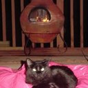 Jaden Carson - @Jaden_Styles - Twitter