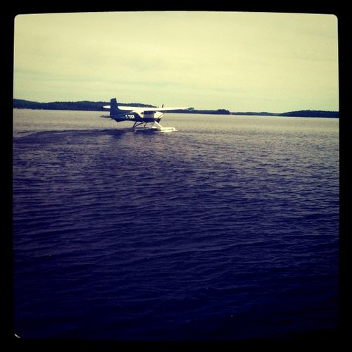 snoinks's profile picture. why drive when you can fly