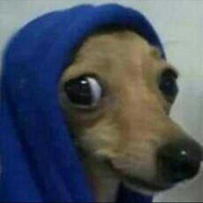 Maxswelsilvars's profile picture. 18 Years