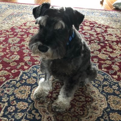 RaemschMargaret's profile picture. 