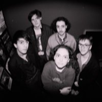 Dianne Kaidie (@diekaidie) 's Twitter Profile