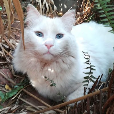 AKraitzick's profile picture. 