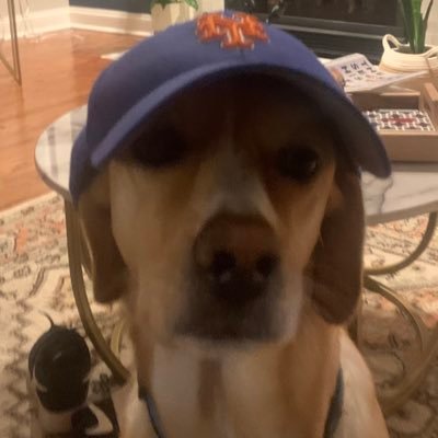 RemedialSauce's profile picture. 