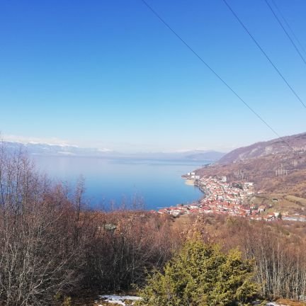 RazmoskiBoro's profile picture. 