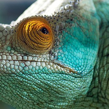 KatKateKaterin's profile picture. 