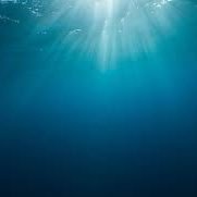 0c34n_jpg's profile picture. collecting jpgs