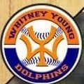 WY Dolphins baseball fans