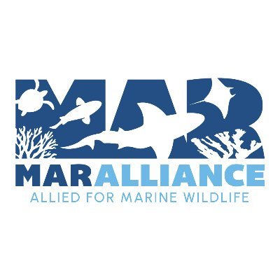 We explore, enable, and inspire #conservation action for threatened marine wildlife and their critical habitats with the support of coastal communities.