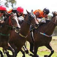 Shane Covey (@shanecovey) 's Twitter Profile