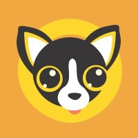 Chihuahua France (@chihuahua_fr) 's Twitter Profile